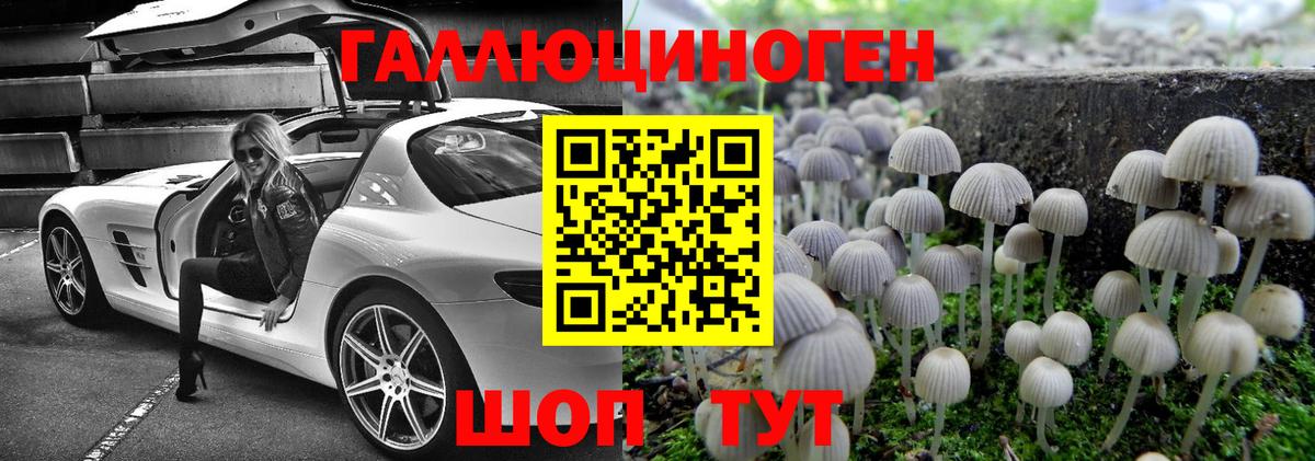 Галлюциногенные грибы GOLDEN TEACHER  Вход с VPN  Псилоцибиновые грибы ЛСД  где найти   Азов 